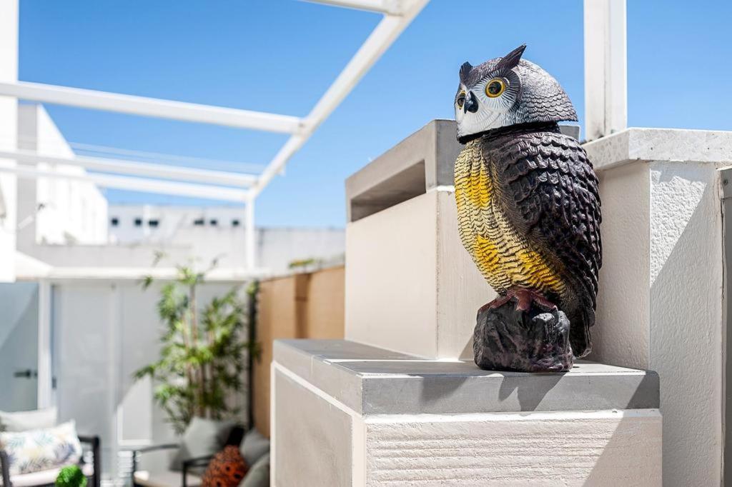 Casa Terraza Apartment Конил-де-ла-Фронтера Екстериор снимка